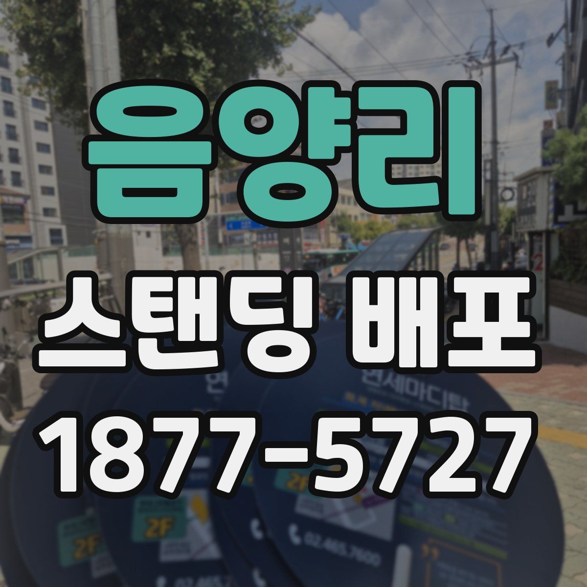음양리 스탠딩 배포