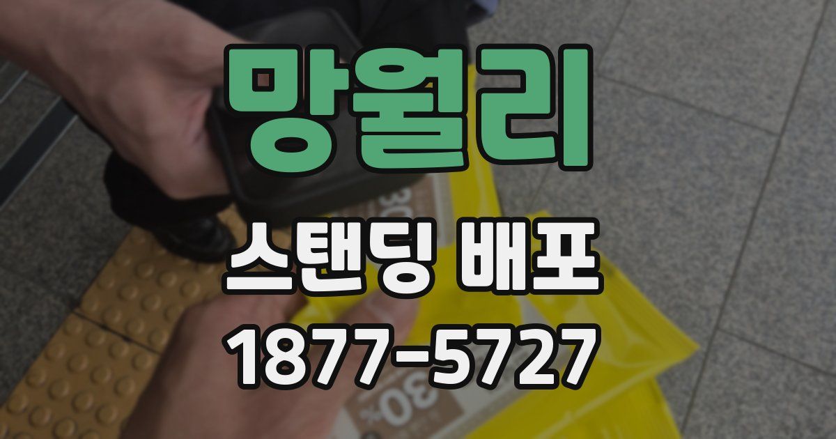망월리 스탠딩 배포
