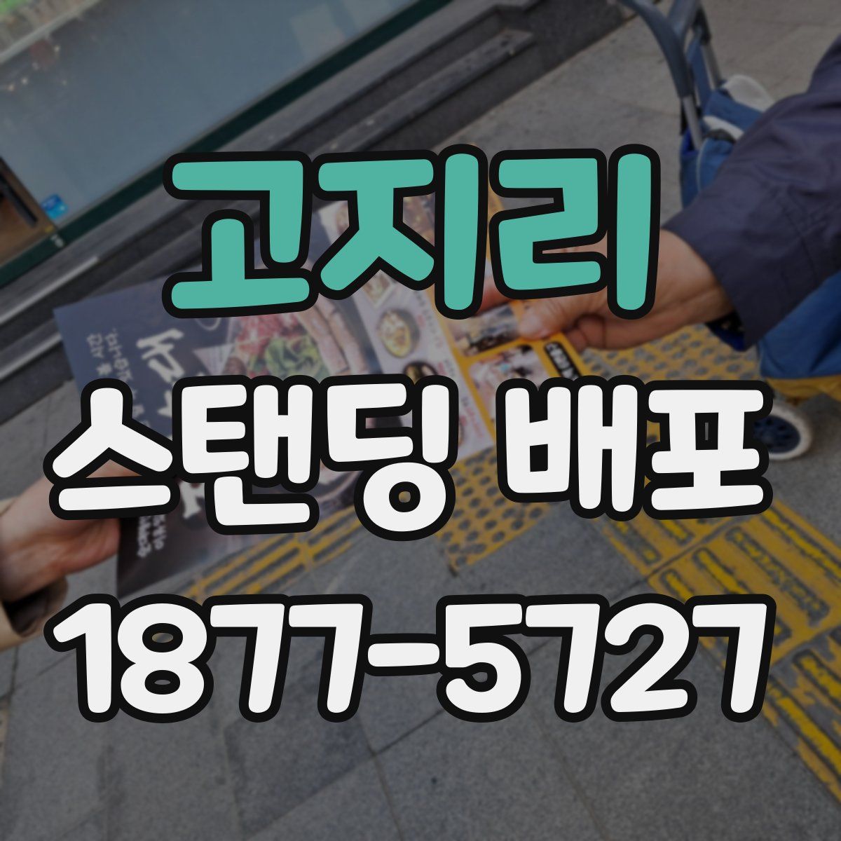 고지리 스탠딩 배포