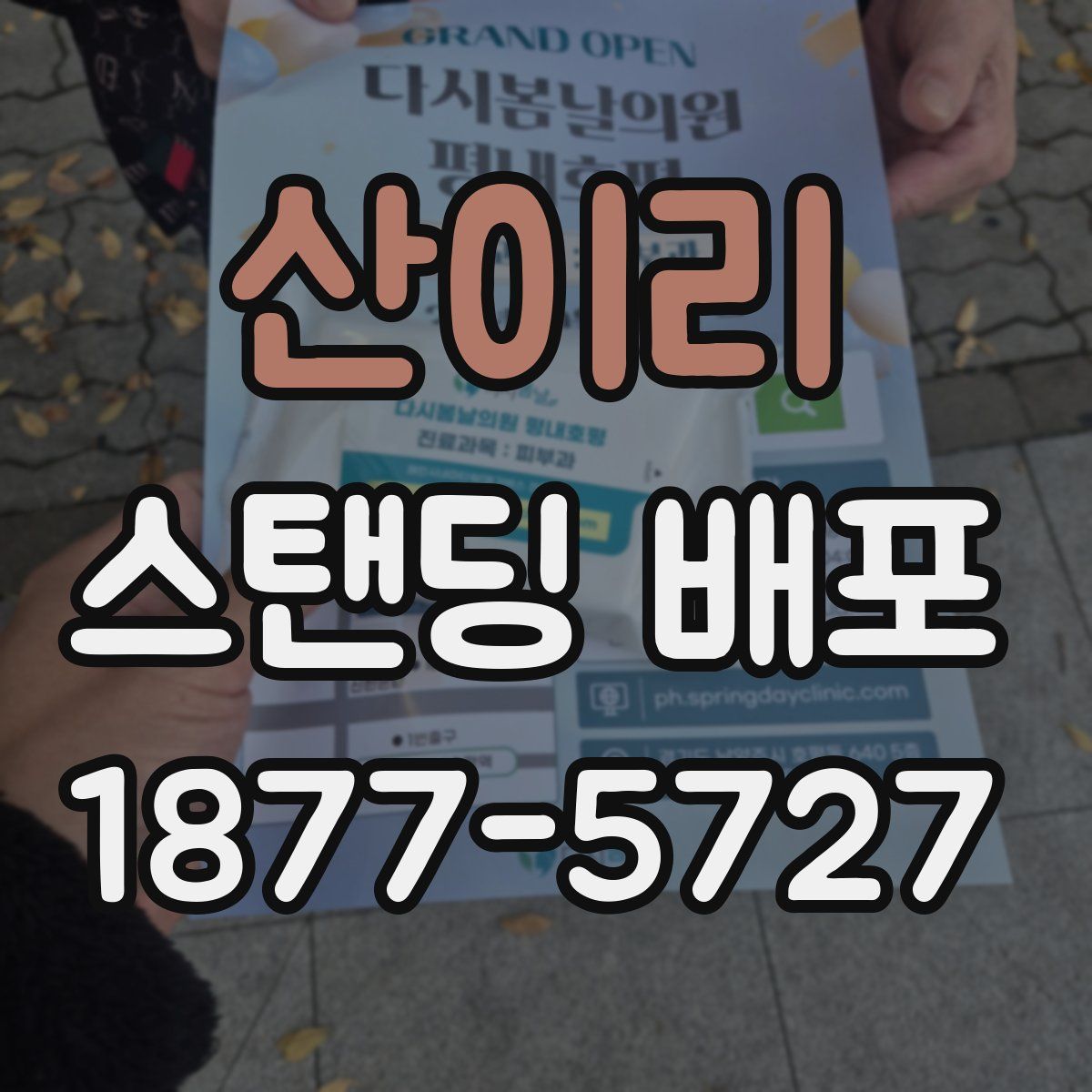 산이리 스탠딩 배포