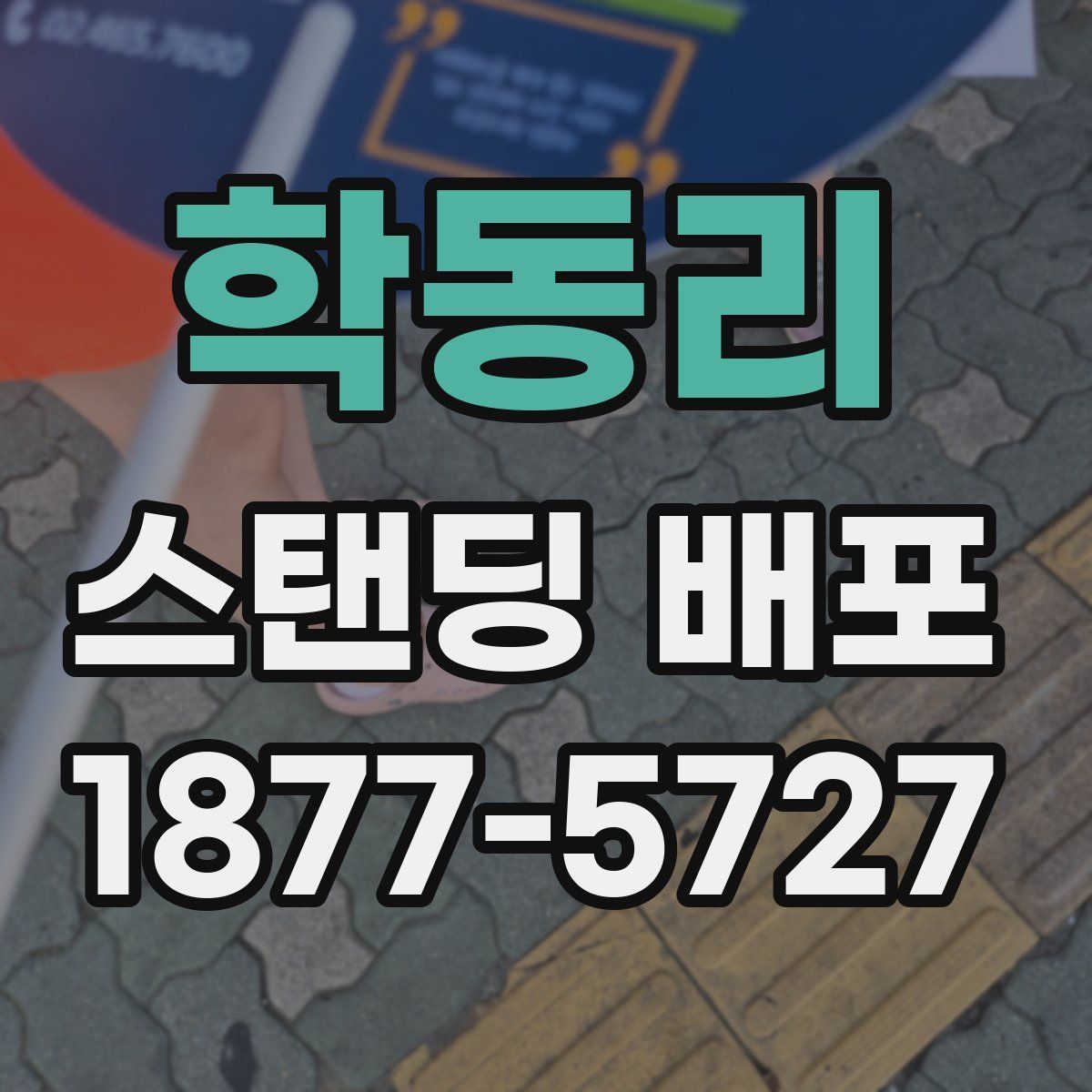 학동리 스탠딩 배포