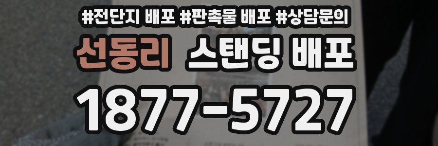 선동리 스탠딩 배포