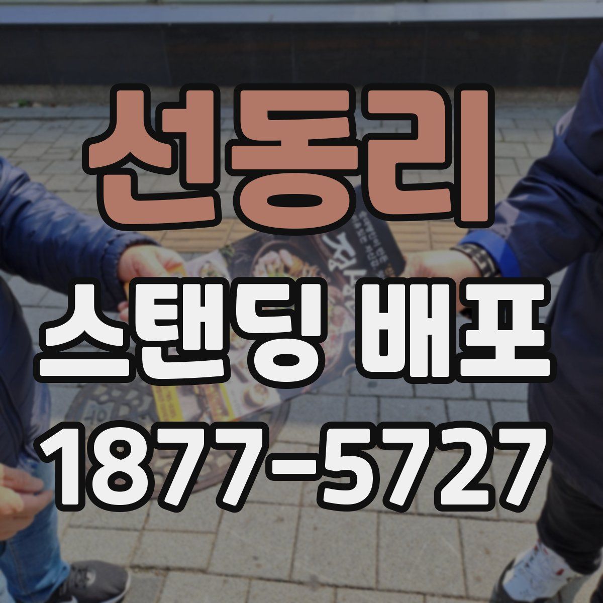 선동리 스탠딩 배포