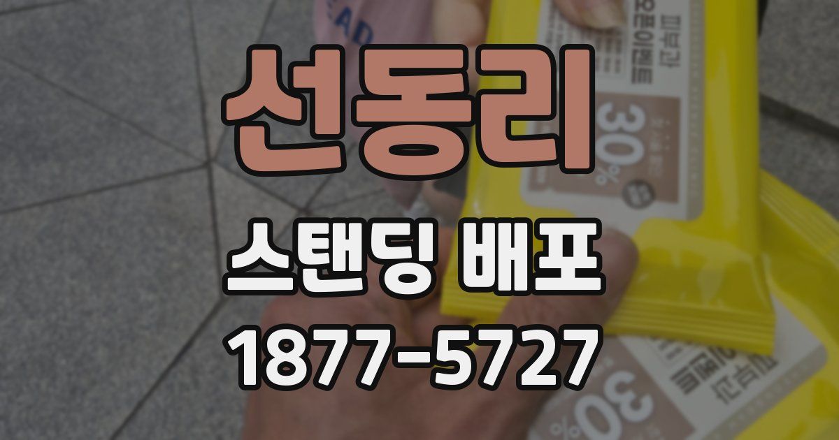 선동리 스탠딩 배포