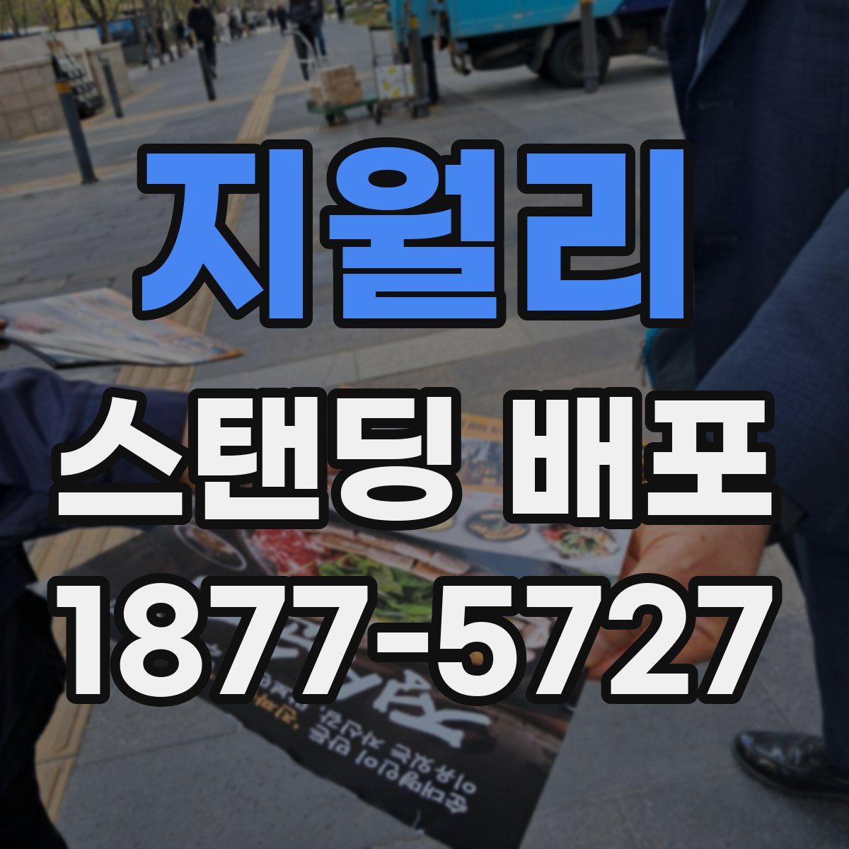 지월리 스탠딩 배포