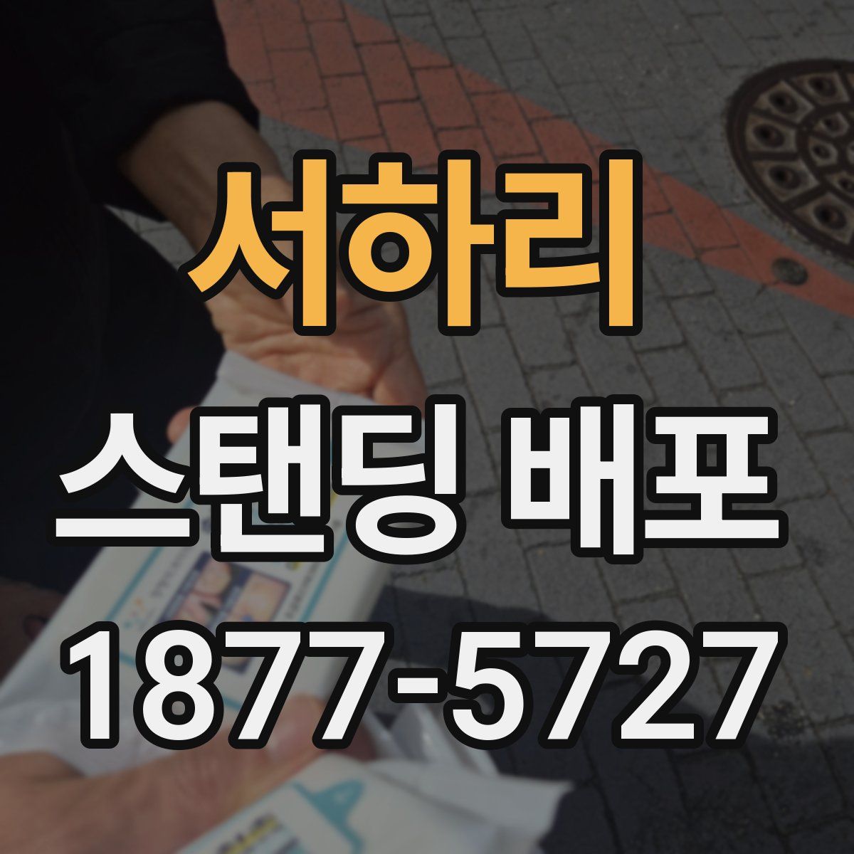 서하리 스탠딩 배포
