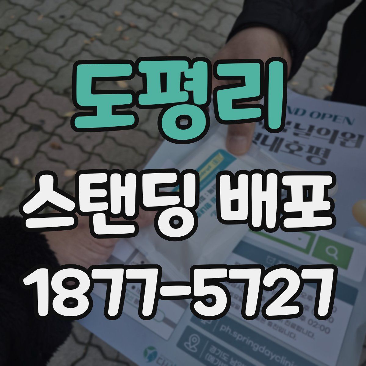도평리 스탠딩 배포