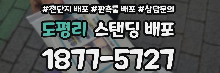 도평리 스탠딩 배포