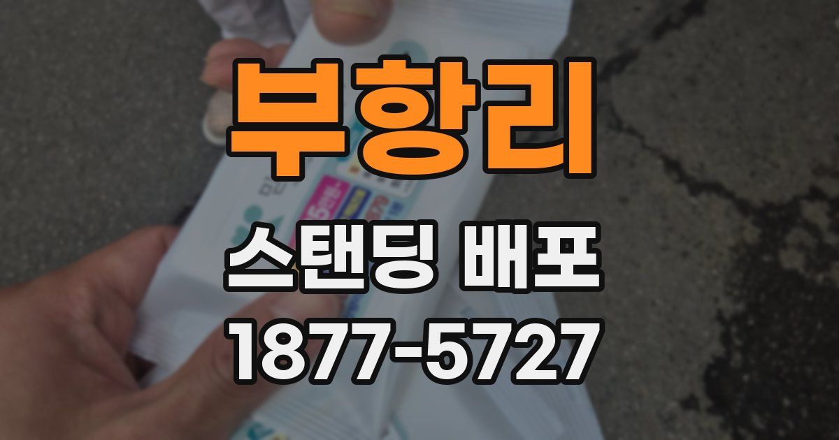 부항리 스탠딩 배포