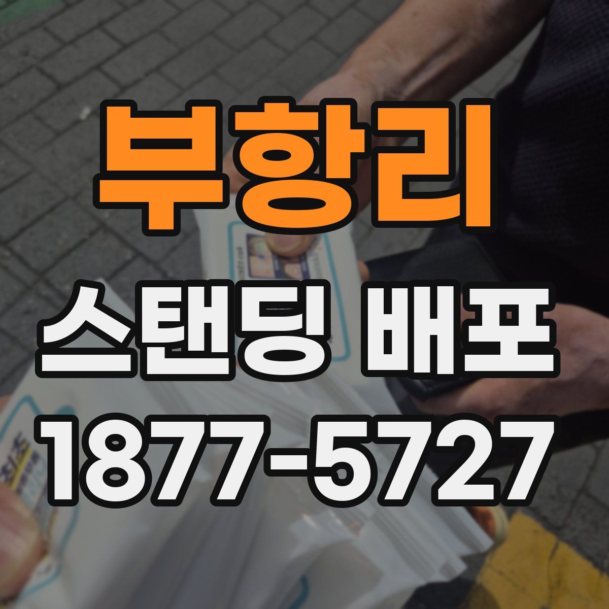 부항리 스탠딩 배포