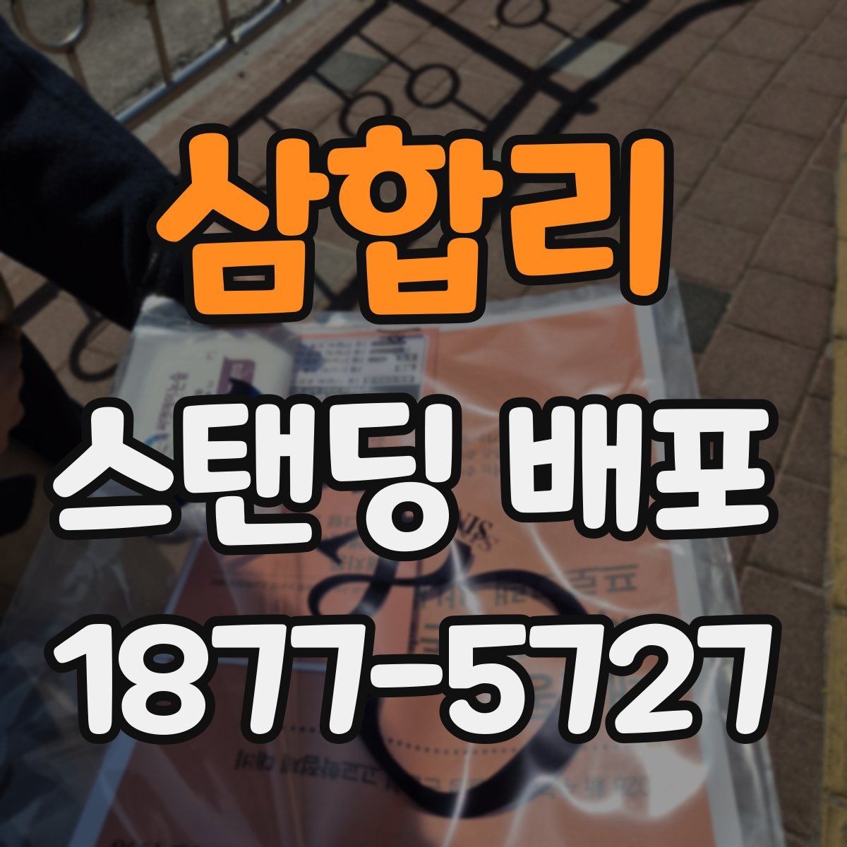 삼합리 스탠딩 배포