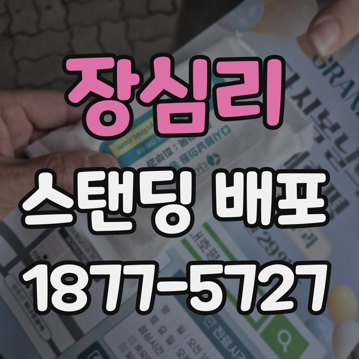 장심리 스탠딩 배포