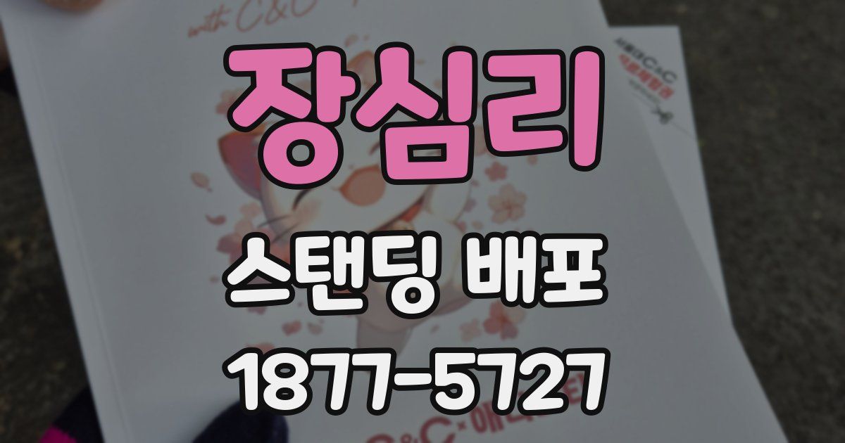 장심리 스탠딩 배포