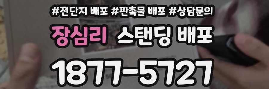 장심리 스탠딩 배포
