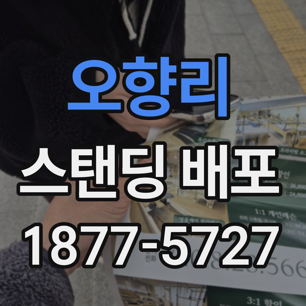 오향리 스탠딩 배포