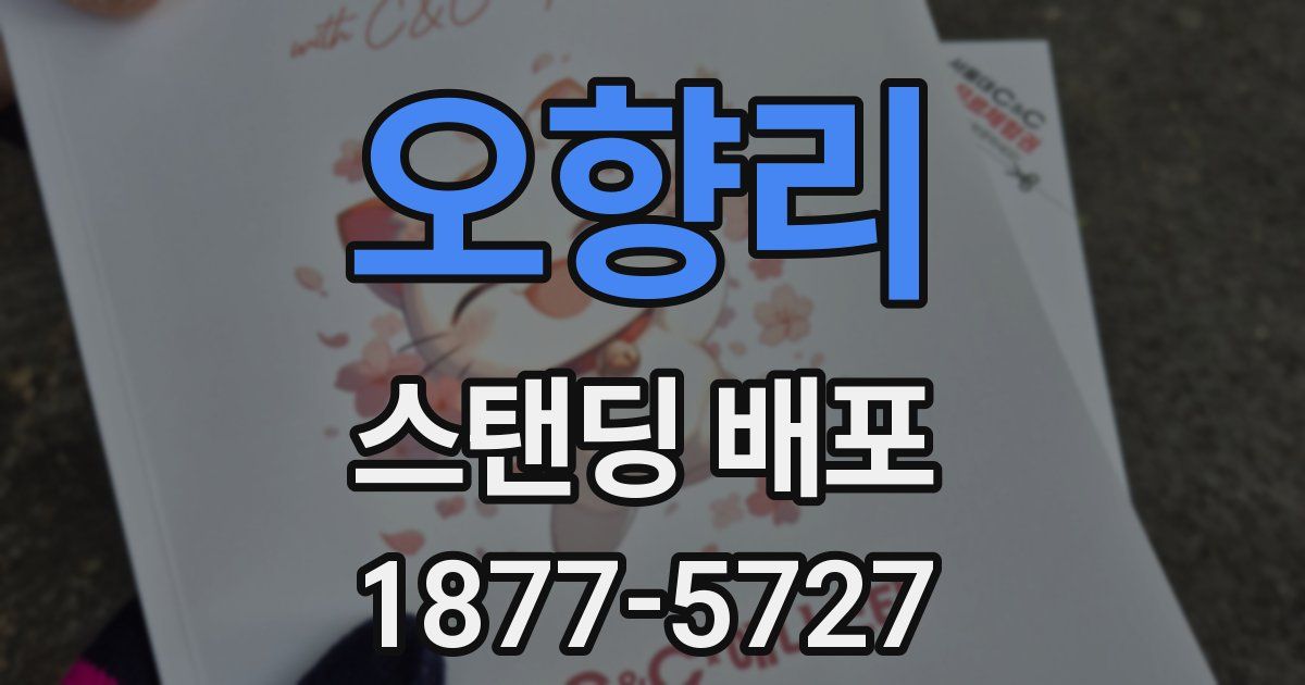 오향리 스탠딩 배포