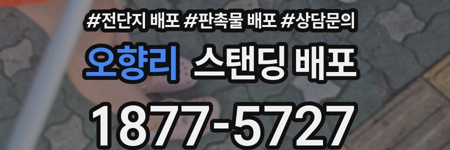 오향리 스탠딩 배포