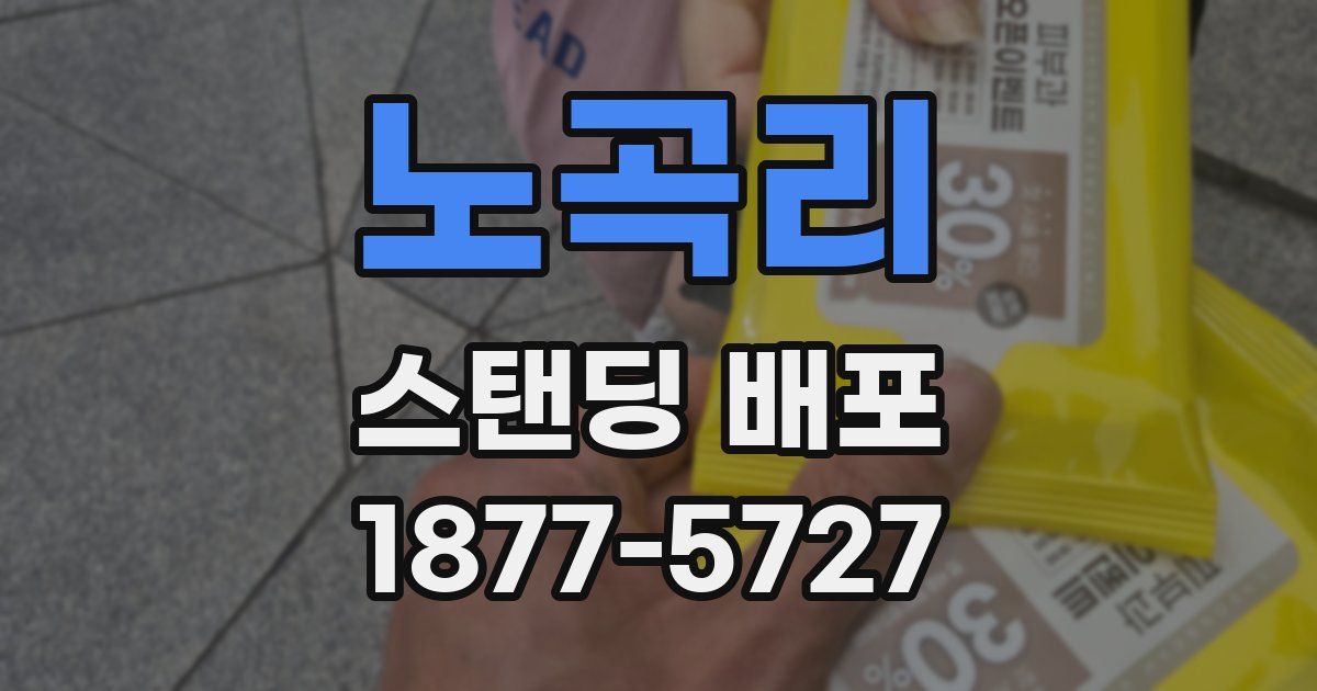 노곡리 스탠딩 배포