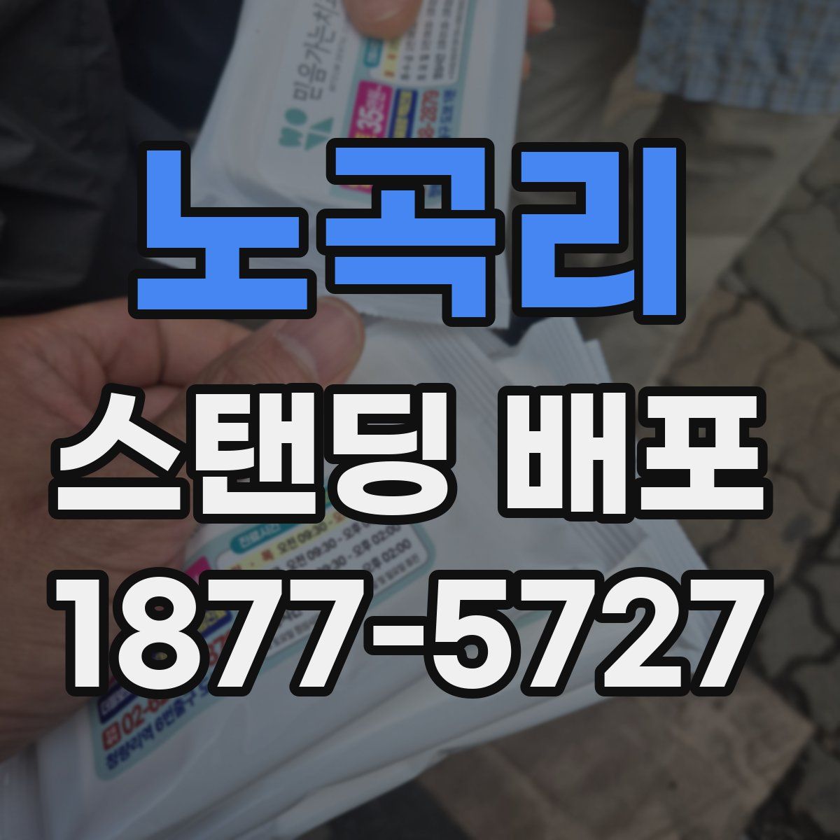 노곡리 스탠딩 배포