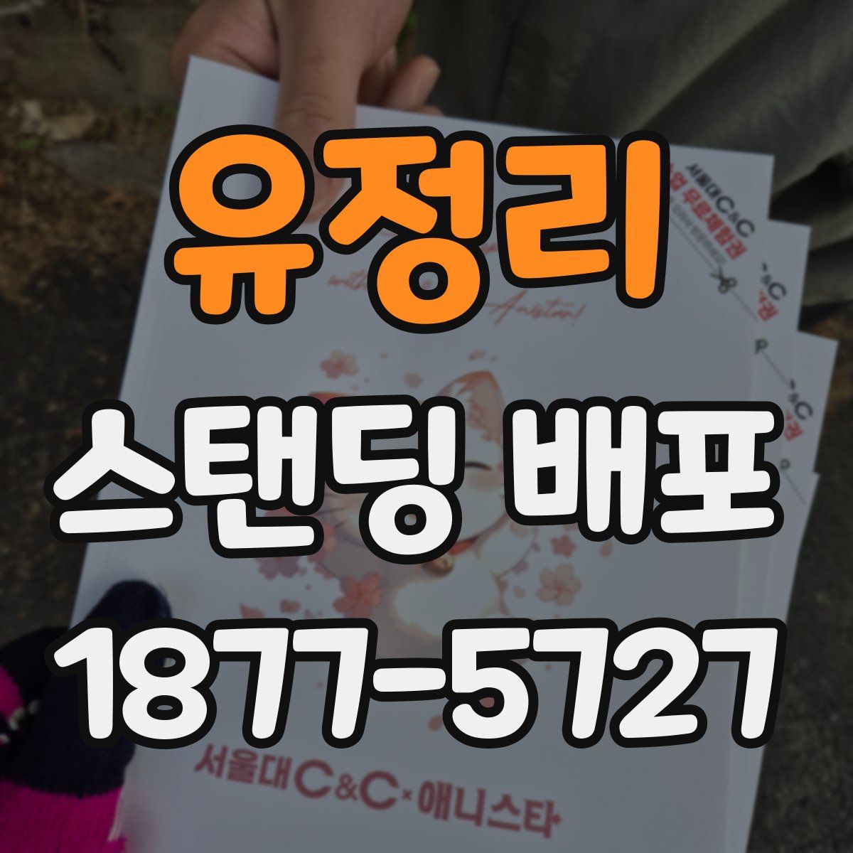 유정리 스탠딩 배포