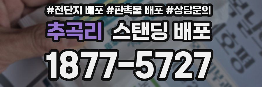추곡리 스탠딩 배포