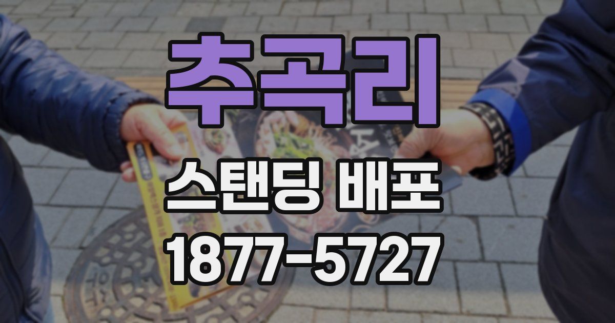 추곡리 스탠딩 배포