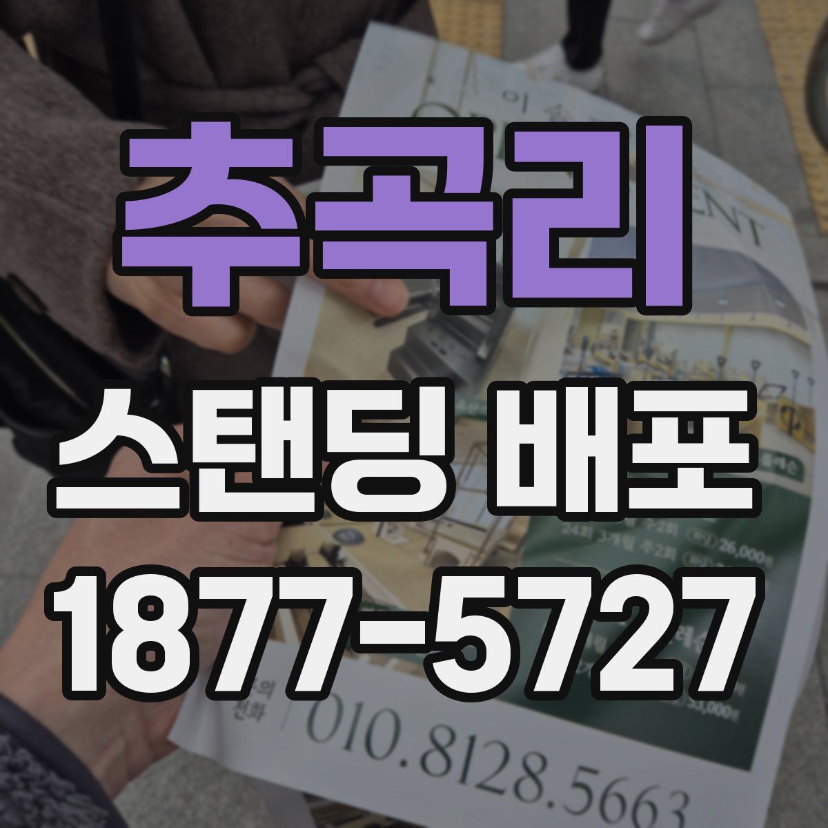 추곡리 스탠딩 배포