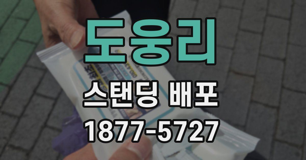 도웅리 스탠딩 배포