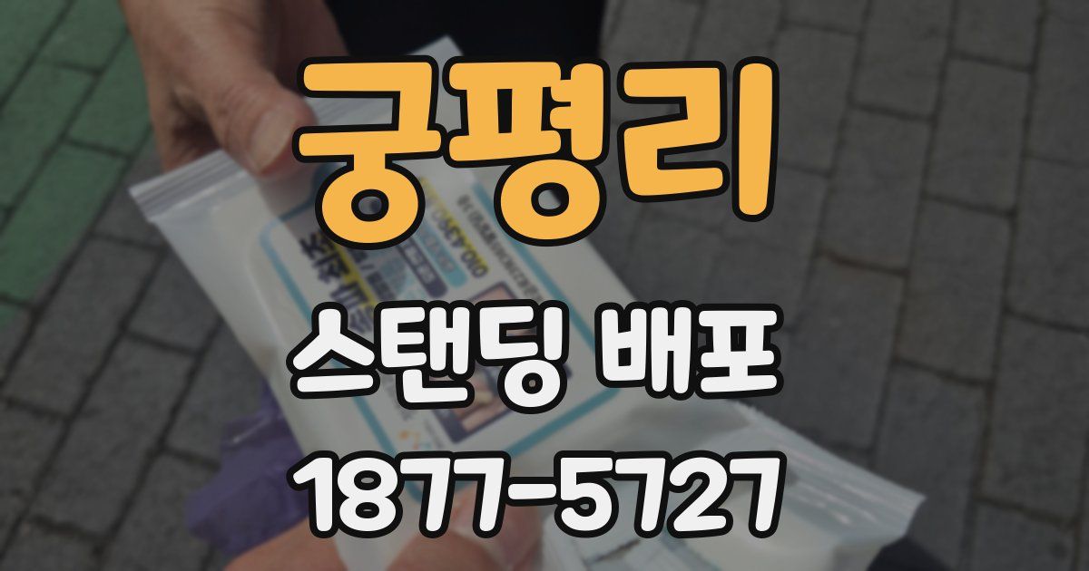 궁평리 스탠딩 배포