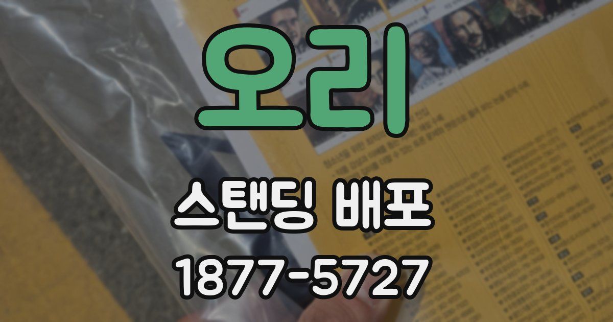 오리 스탠딩 배포