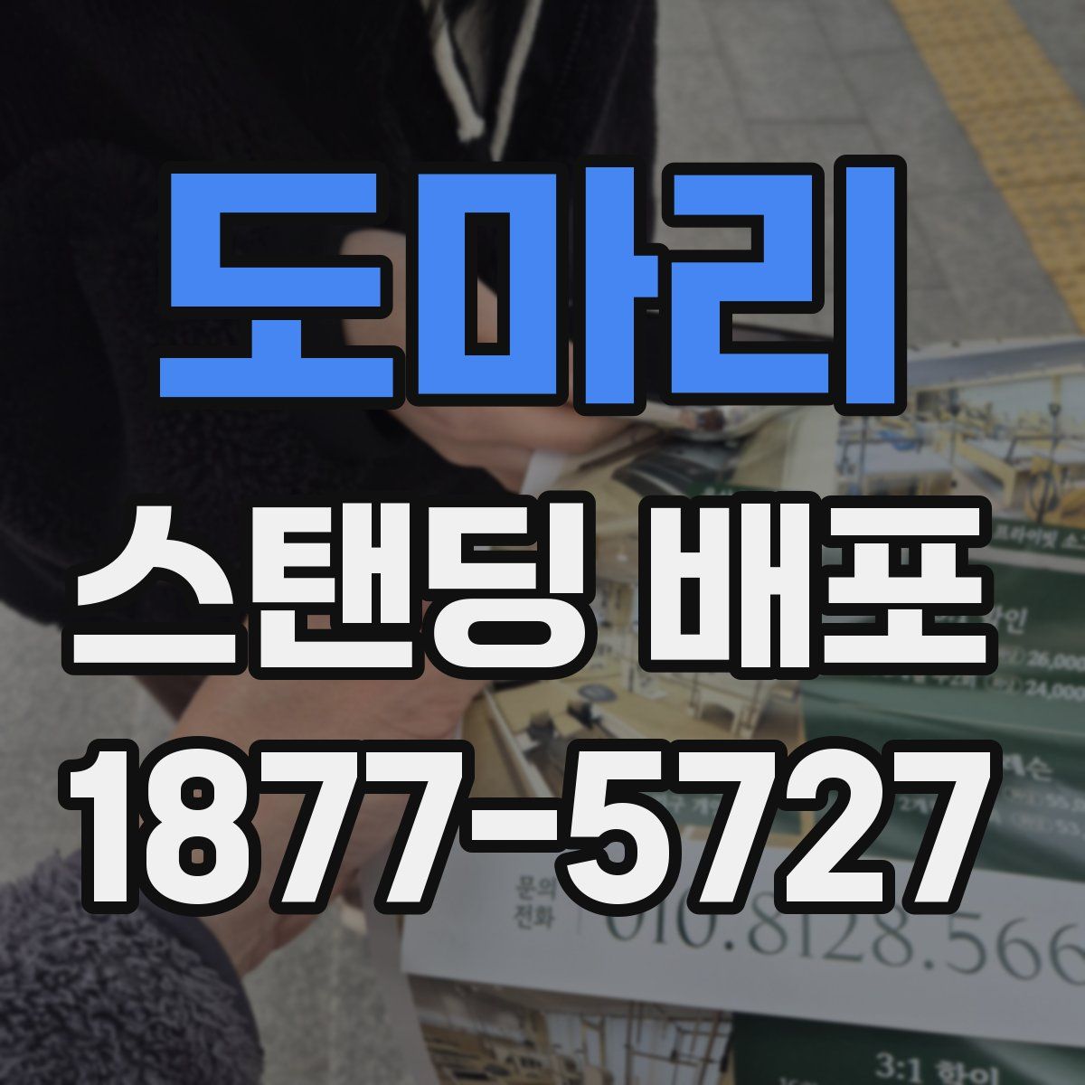 도마리 스탠딩 배포