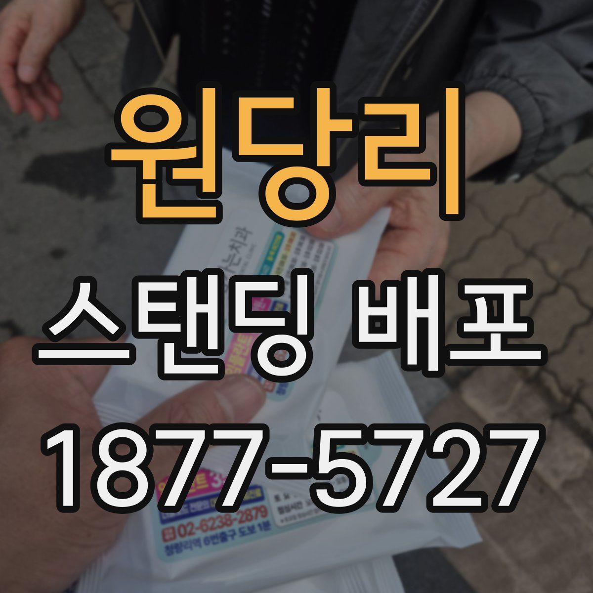 원당리 스탠딩 배포