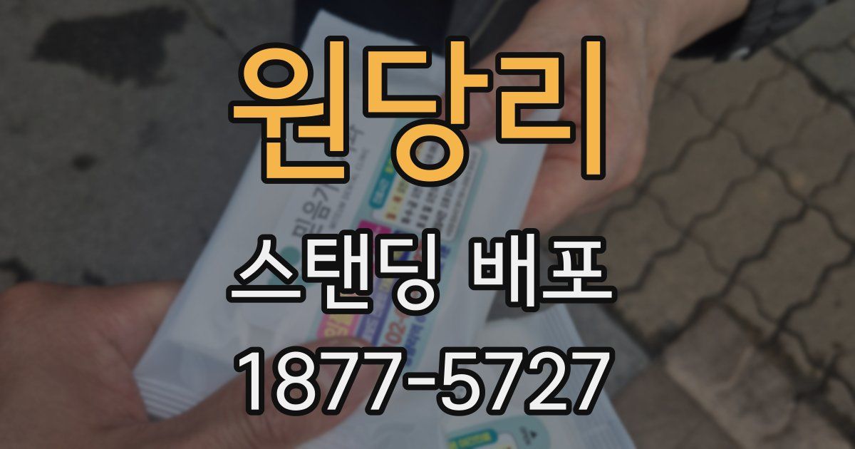 원당리 스탠딩 배포