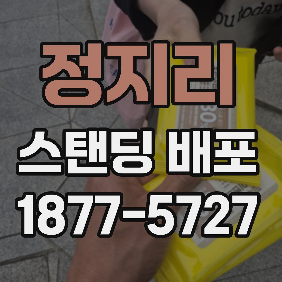 정지리 스탠딩 배포