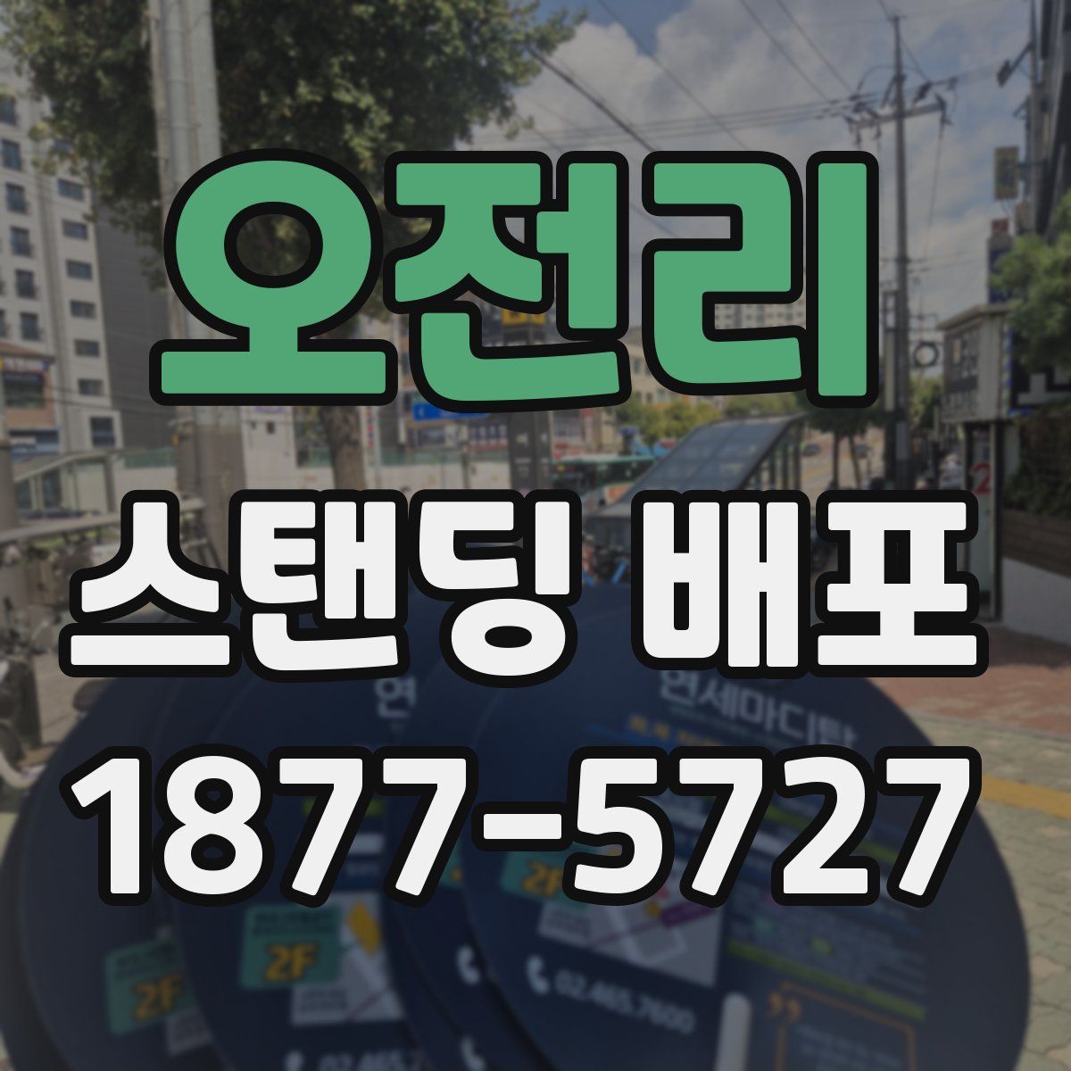오전리 스탠딩 배포