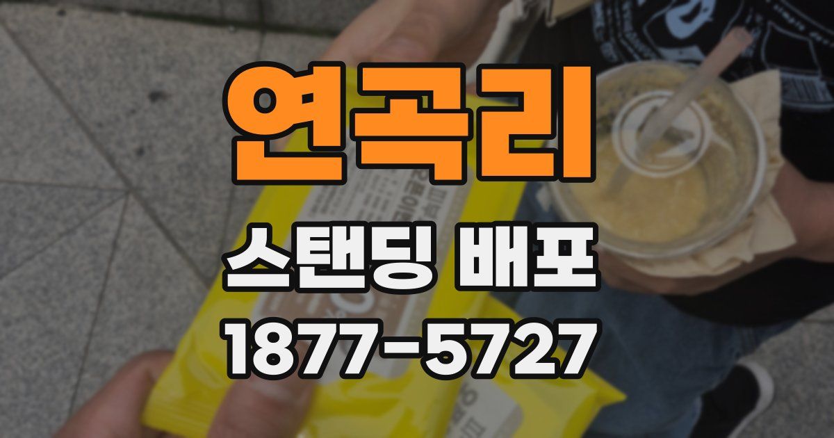 연곡리 스탠딩 배포