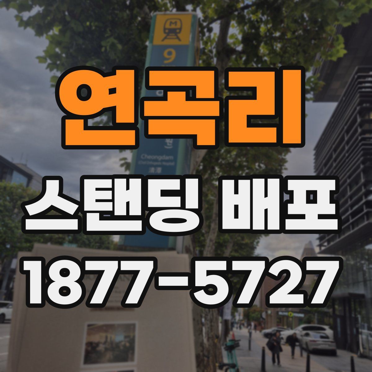 연곡리 스탠딩 배포