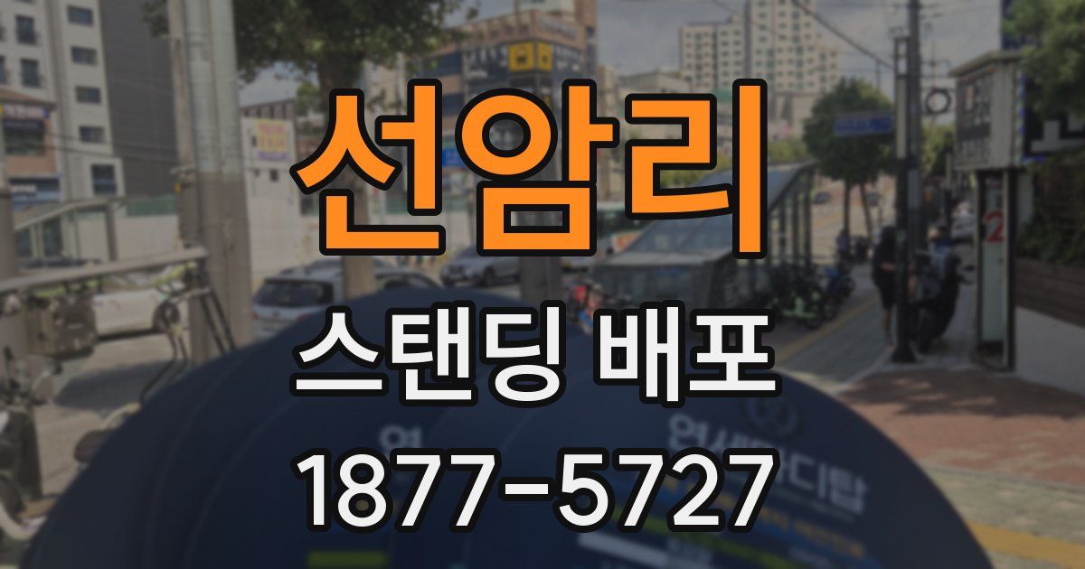 선암리 스탠딩 배포
