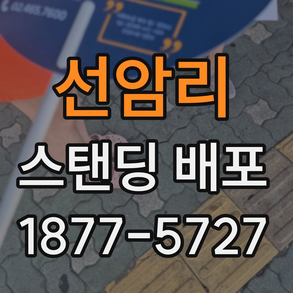 선암리 스탠딩 배포