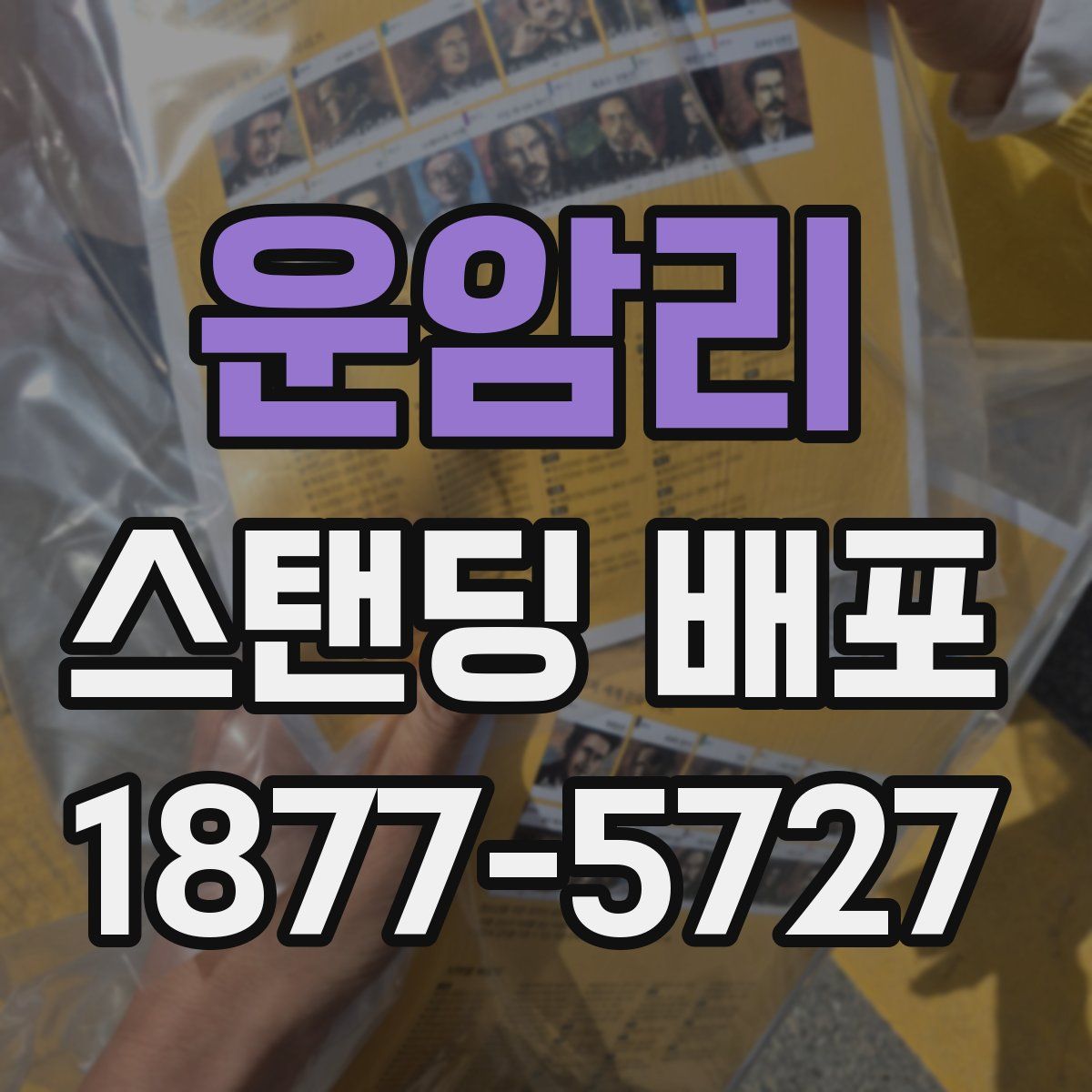 운암리 스탠딩 배포