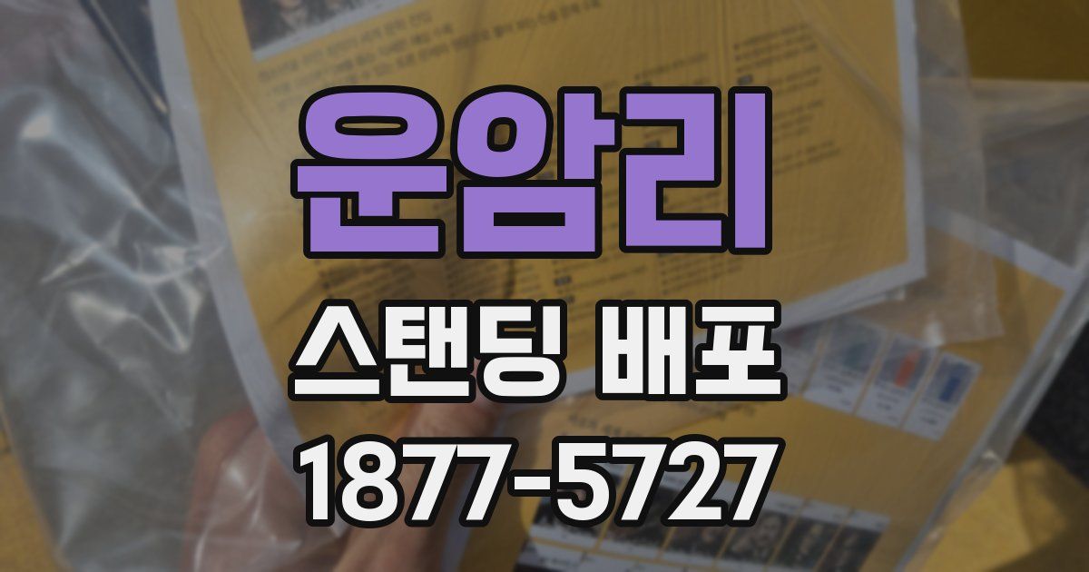 운암리 스탠딩 배포