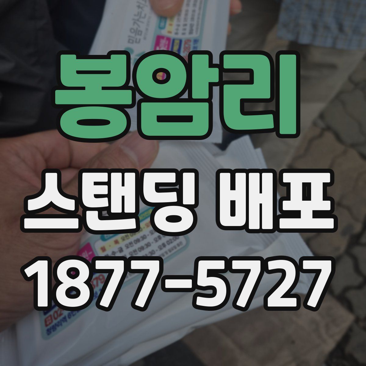 봉암리 스탠딩 배포