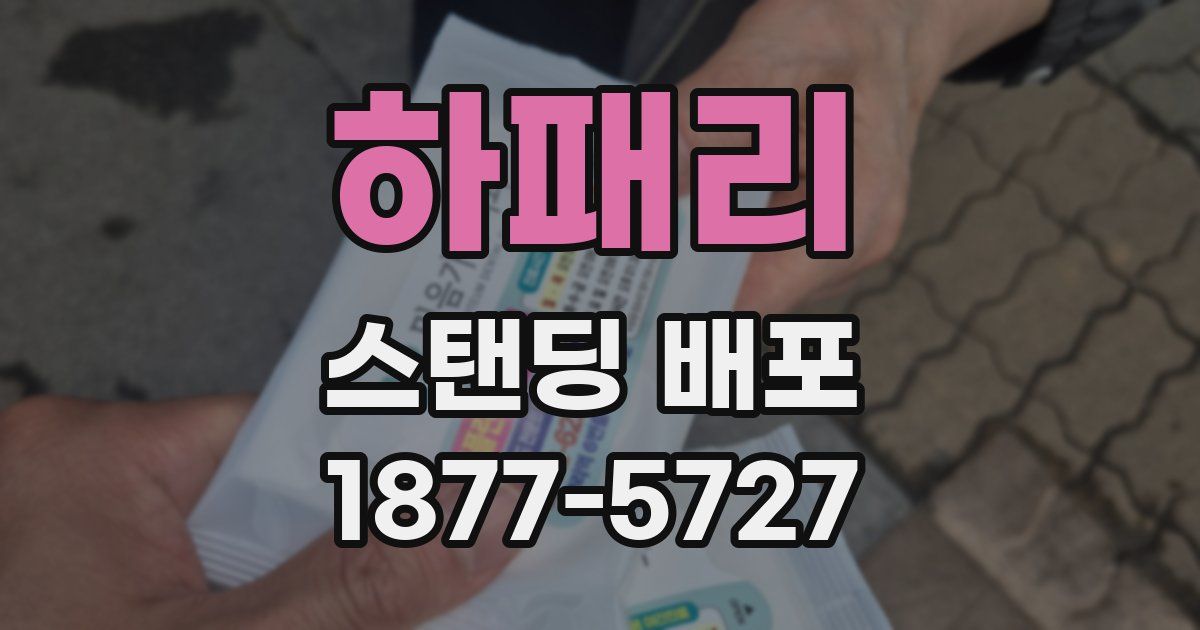 하패리 스탠딩 배포