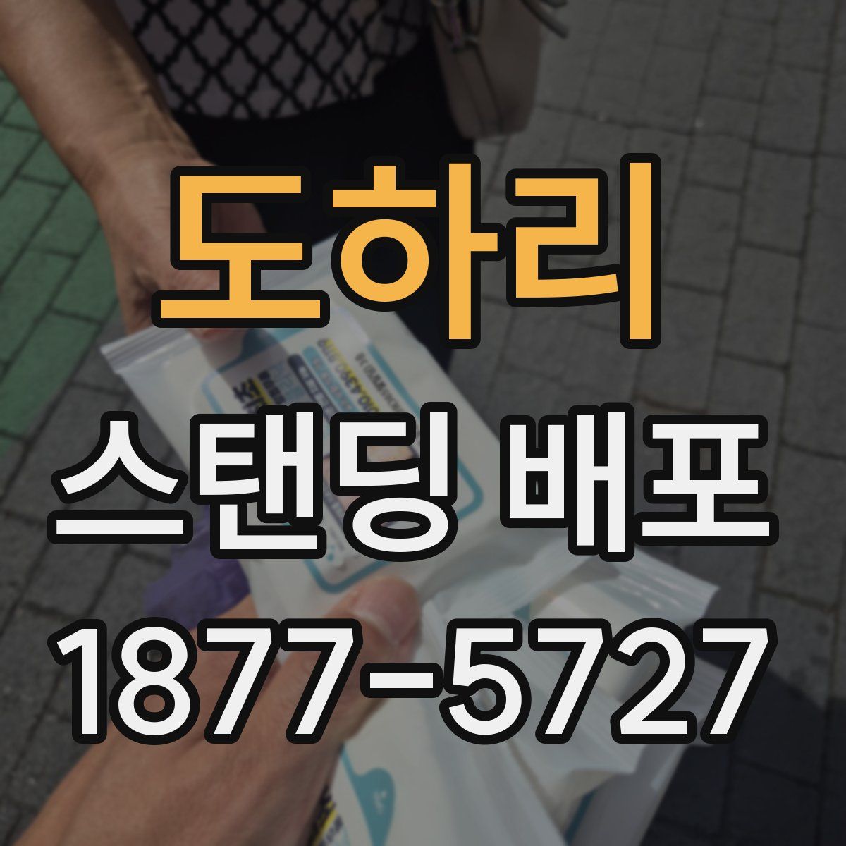 도하리 스탠딩 배포