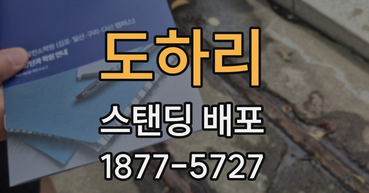 도하리 스탠딩 배포