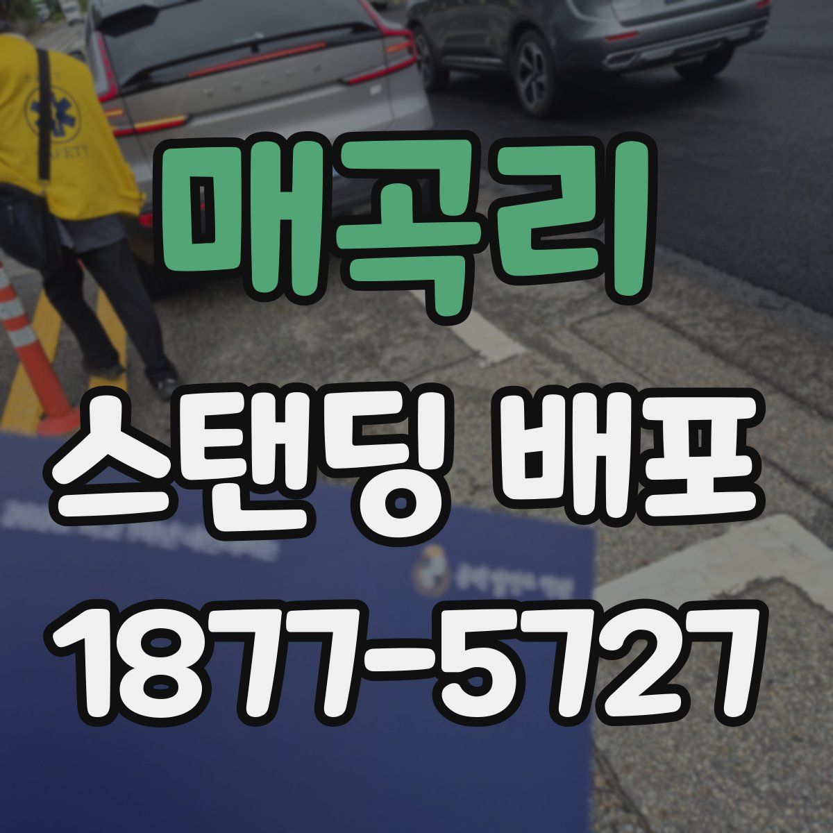 매곡리 스탠딩 배포