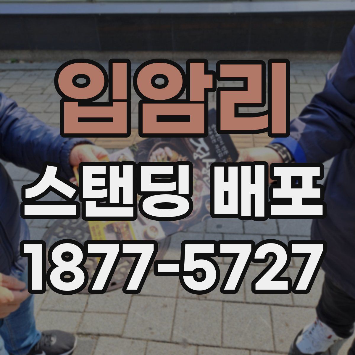 입암리 스탠딩 배포