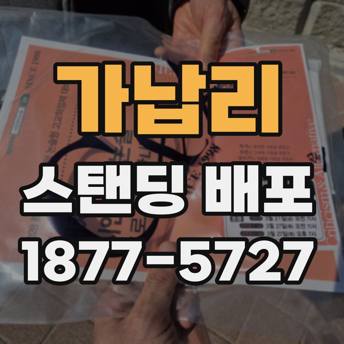가납리 스탠딩 배포