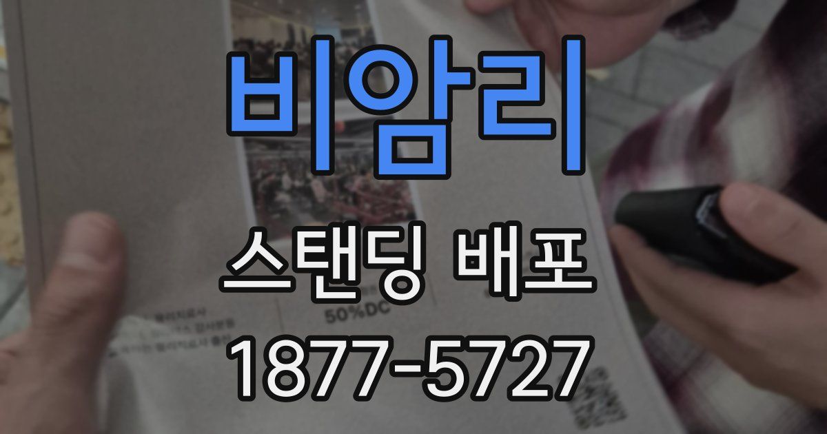 비암리 스탠딩 배포