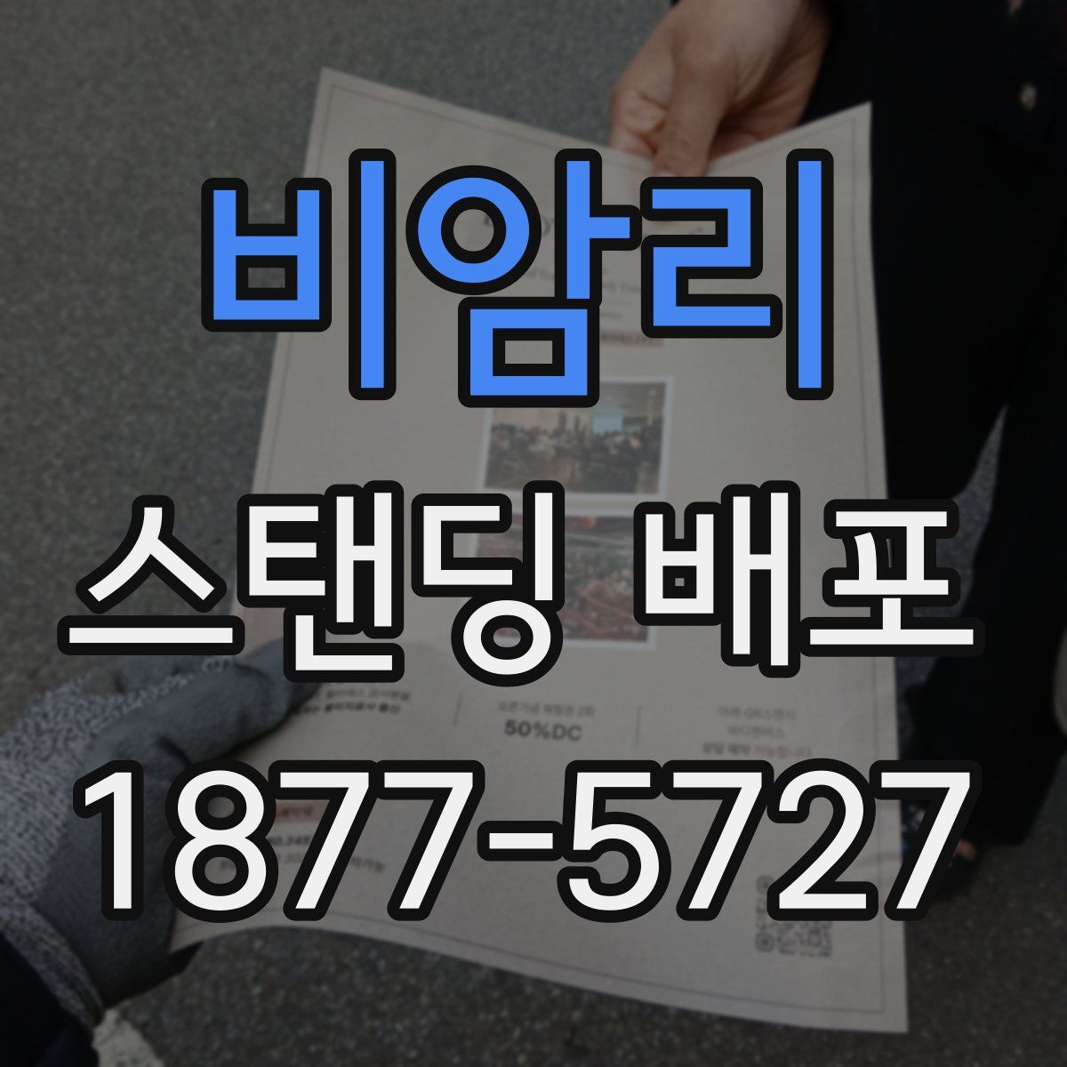 비암리 스탠딩 배포